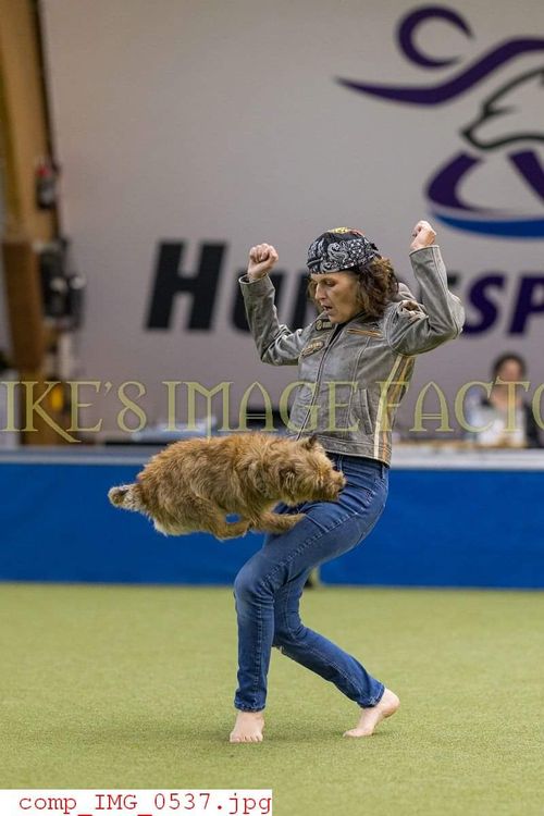 DogDancing Deutsche Meisterschaft mit WM Qualifikation 