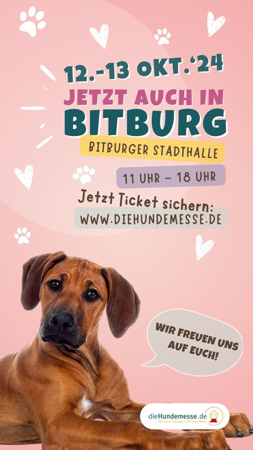 1. DieHundemesse.de in der Stadthalle in Bitburg am 12./13. Oktober 2024